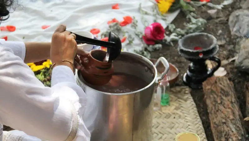Ayahuasca Çayı: Şifalı Mucize Mi, Yoksa Yasaklı Bir İlaç Mı?