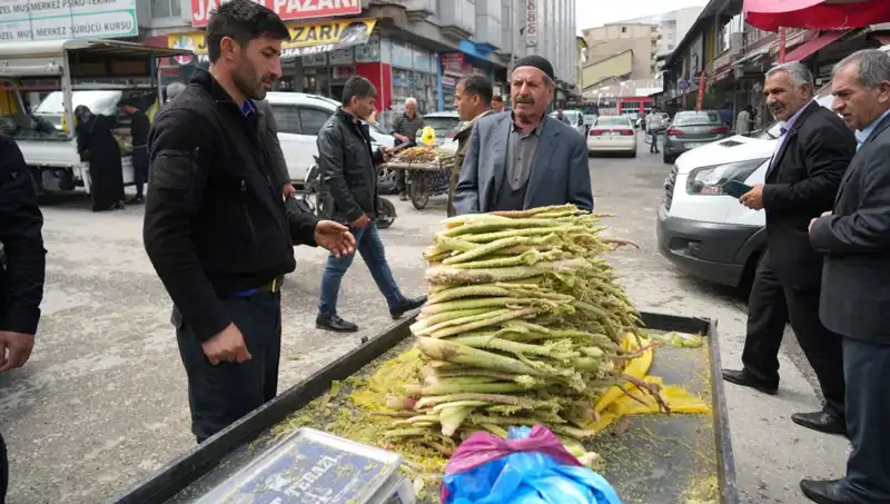 Dağlık Alandan Toplanan Şeker, Sağlık Faydaları ile Dikkat Çekiyor