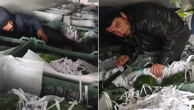Karpuzların Arasından Çıkan Göçmenler: Sıcak Yaz Günlerinde Şaşırtan Olay