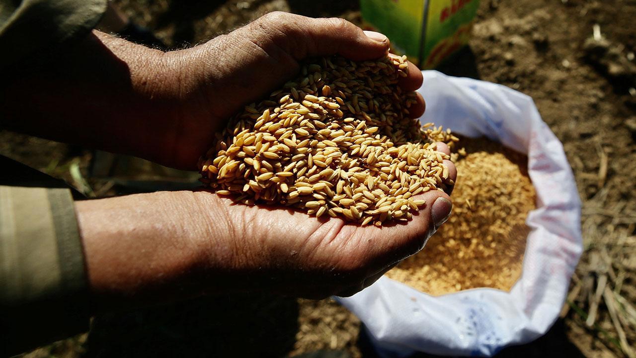 Ata Tohumları Artık Tarım Kredi Marketlerinde de Satışta!