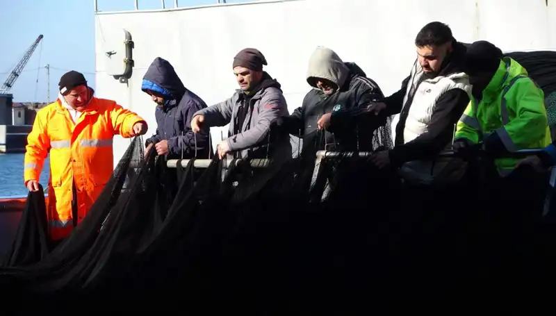 Denizlerde Hamsi Stoğu Tükendi: Balıkçılar Erken Veda Etti