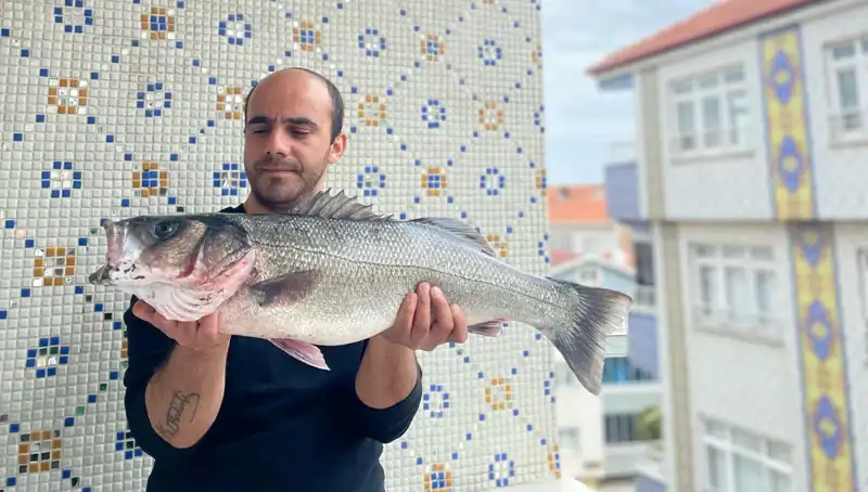 7.5 Kiloluk Dev Levrek Nasıl Yakalandı? Balıkçılar Hayrete Düştü!