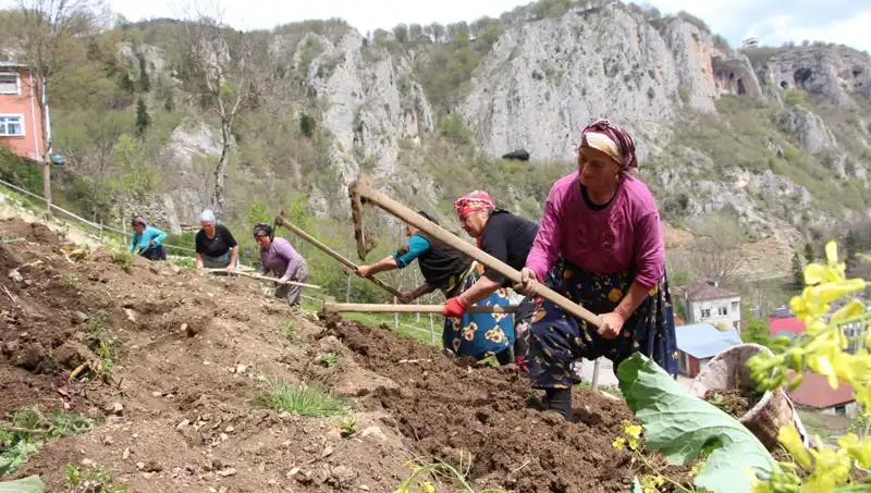 Zorlu Mesai Başladı: Sepetler ve Kazmalarla Yeni Bir Başlangıç