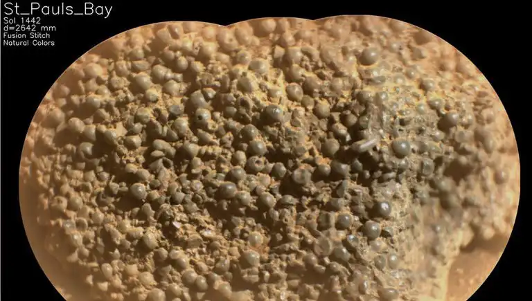 Mars’ta Eşsiz Bir Keşif: "Örümcek Yumurtaları" Neyin Habercisi?