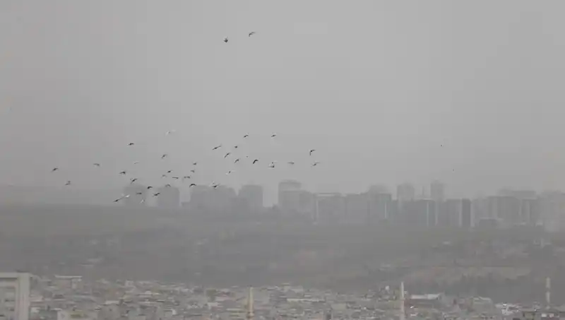 Şanlıurfa'da Görülen Toz Bulutu Hayatı Olumsuz Etkiliyor