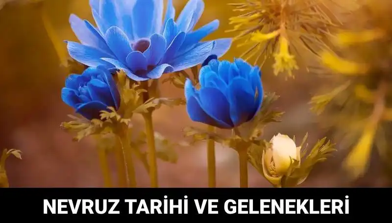 Nevruz Bayramı 2024: Gelenekleri ve Kutlama Tarihleriyle Gelen Baharın Müjdecisi