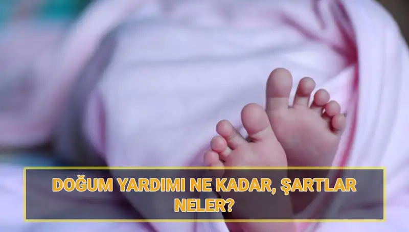 2025'te Doğum Yardımı Başvuruları Başladı: Çocuk Parası Miktarları ve Şartları Neler?