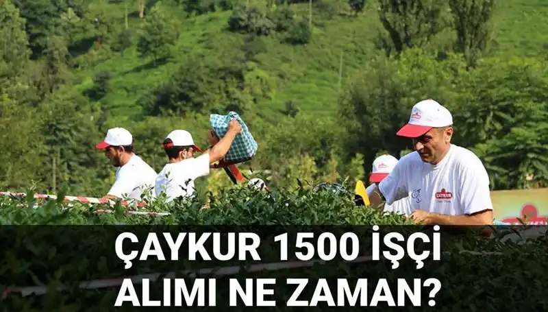 Çaykur İşçi Alımı İle İlgili Son Gelişmeler ve Başvuru Tarihleri