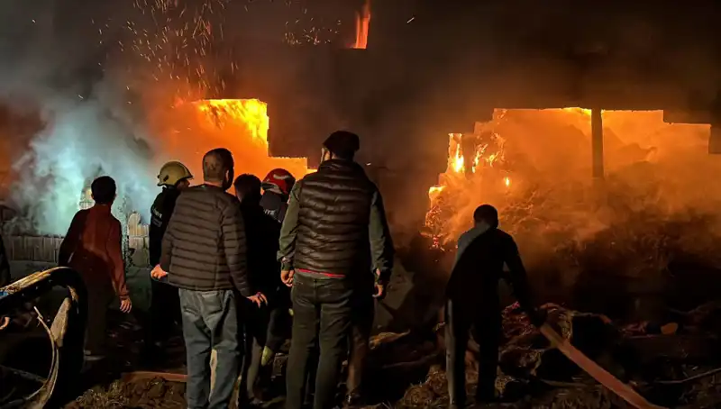 Bolu'da Korkunç Ahır Yangını: Kayıplar ve Maddi Hasar Açıklandı