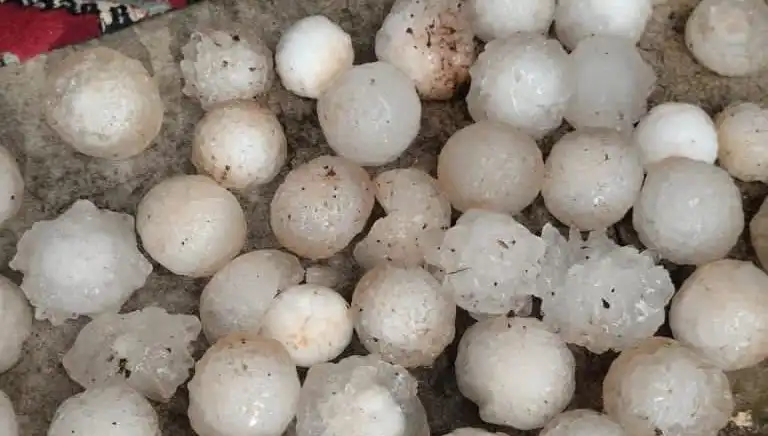 Şanlıurfa'da Kar Topu Gibi Dolu Yağışı Hayatı Olumsuz Etkiledi