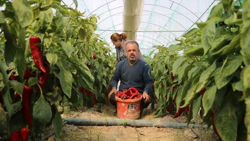 Fiyat Artışları Tüm Türkiye'yi Şok Ediyor: 50 Lira Ürün Şimdi 80 TL