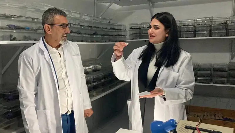 Akrep Zehrini Şekere Damlatıp Yiyenler Kimler? İşte O Tuhaf Gelenek!