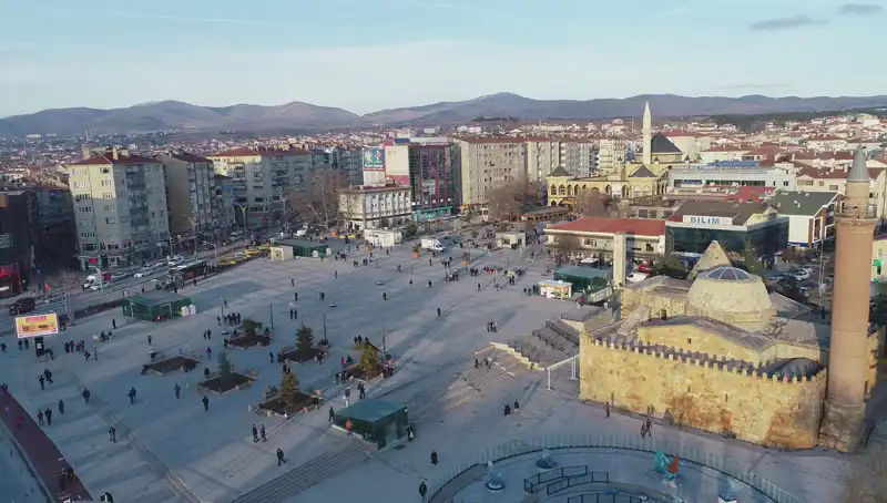 Kırşehir'de Bilim Dünyasını Şaşkına Çeviren Yeni Böcek Türü Keşfedildi!