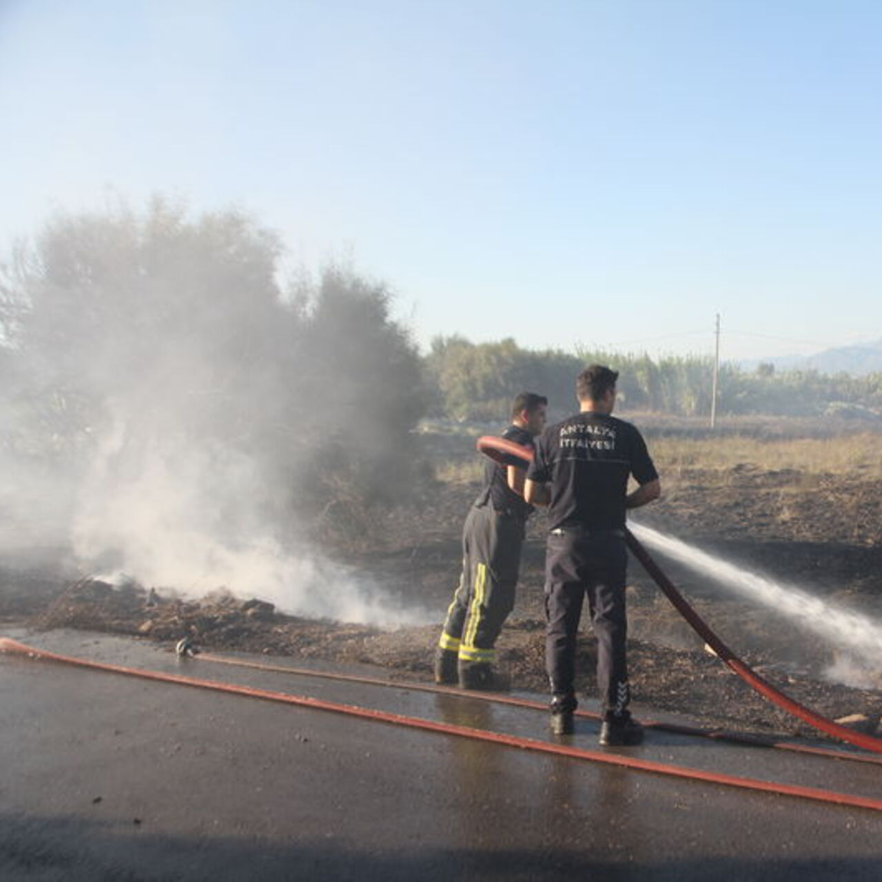 Antalya’da Sazlık Alanda Yangın: Ekipler Seferber Oldu